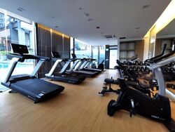 Normanton Park (D5), Apartment #417758091